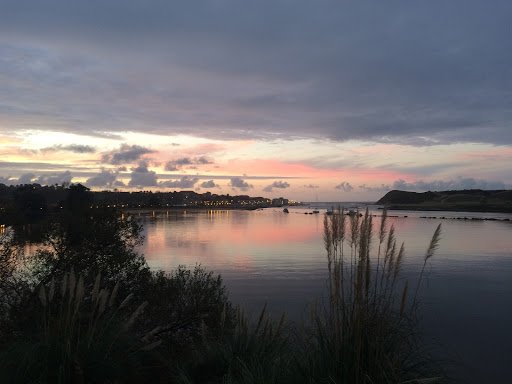 Notaria De Suances Adela Solís.